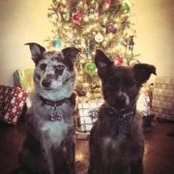 Pamela Smith's photo