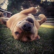 Laura Volkoff's photo