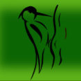 Out of the Woodwork's profile photo