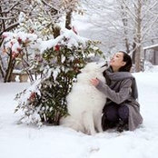 YI LI's photo
