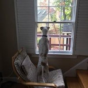John Whiteley's photo