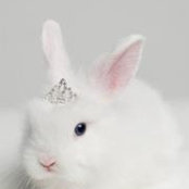 Lisa Carr's photo