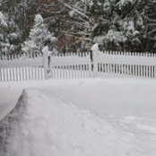Melissa Heyman's photo