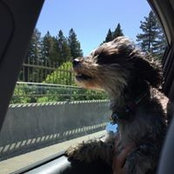 Michael Murphy's photo