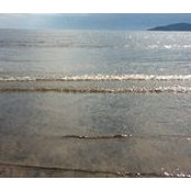 Lise Gendron's photo