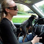 Kimberly Starner O'Brien's photo