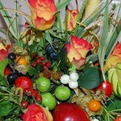 Foto von Marion Allerton