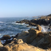 Cynthia Suzuki's photo