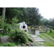 Karen Libowsky-Siegel's photo