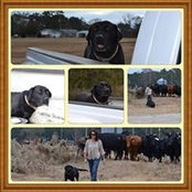 Taisha Dunn's photo