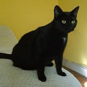 Joseph Furio's photo