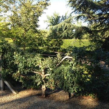 English Garden for a Craftsman Remodel at Home Ranch