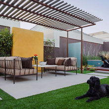 Pergola and trellis