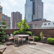 green green roof