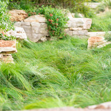 desert hillside ideas