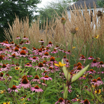 Waterfront Garden, Greenwich CT