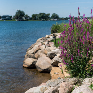 Lake Columbia Modern Lakefront Landscape