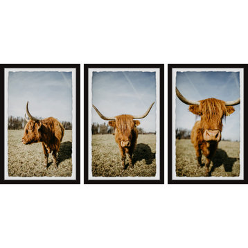 Sweeping Horns Triptych, Set of 3, 8x12 Panels