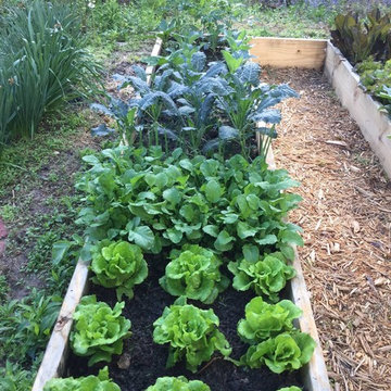 Vegetable gardens