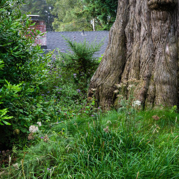 Grassy Meadow Oasis - Reduces Waste While Increasing Habitat