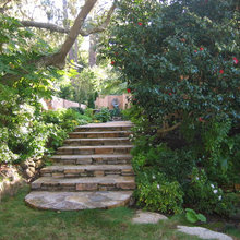 Steps
