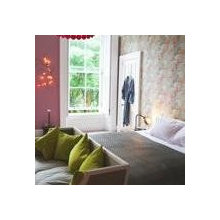 House Ideas