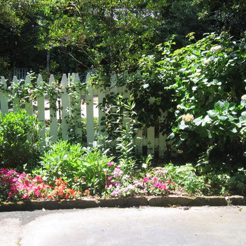 Summer Color