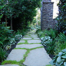 Patio Ideas