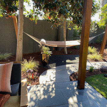 Hammock under the Avocado