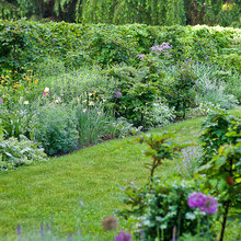 Landscape Ideas