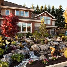 Landscape Ideas