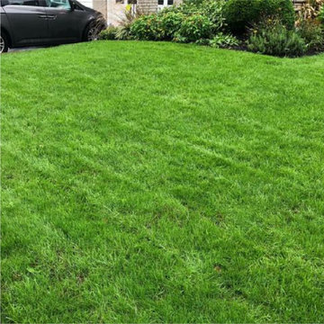 Organic Lawn Care Program