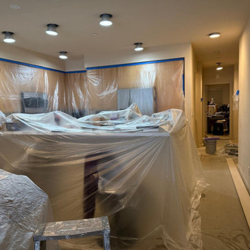 Damage Restoration