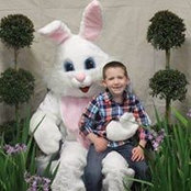 Melanie Miller Holmes's photo