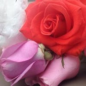 Karen Bruner's photo