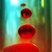 Tamara Walton's photo