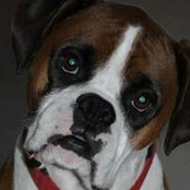 Dana Boling's photo
