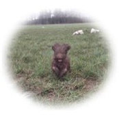 Kerstin Genge's photo
