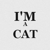 Chana Holvoet's photo