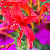 elizabeth haddle's photo