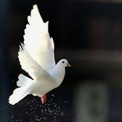 Munna Mahye's photo