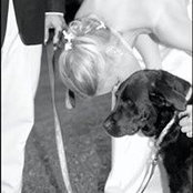 David Fisher's photo