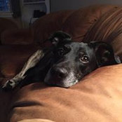 Brad Usherwood's photo