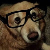 Cheryl Cheekさんの写真
