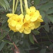 Karin Lepa's photo