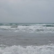 Donna Ward Cloud's photo