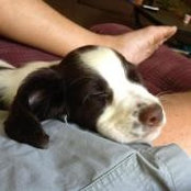 Edward Wagner's photo