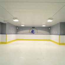 rinks