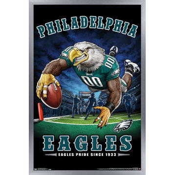 NFL Philadelphia Eagles - End Zone 17