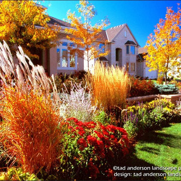 A Welcoming Entry Courtyard - Fall Color. Minnesota Landscape Design.